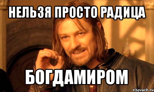 нельзя просто радица богдамиром, Мем Нельзя просто так взять и (Боромир мем)