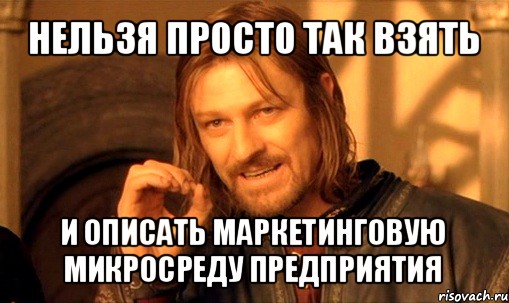 нельзя просто так взять и описать маркетинговую микросреду предприятия, Мем Нельзя просто так взять и (Боромир мем)