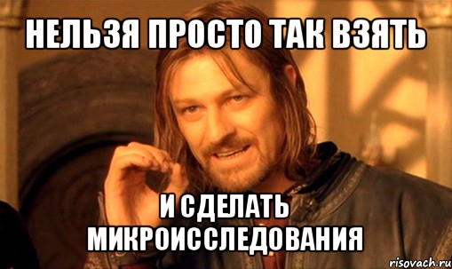 нельзя просто так взять и сделать микроисследования, Мем Нельзя просто так взять и (Боромир мем)