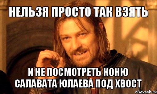 нельзя просто так взять и не посмотреть коню салавата юлаева под хвост, Мем Нельзя просто так взять и (Боромир мем)