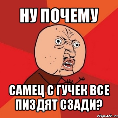 ну почему самец с гучек все пиздят сзади?, Мем Почему