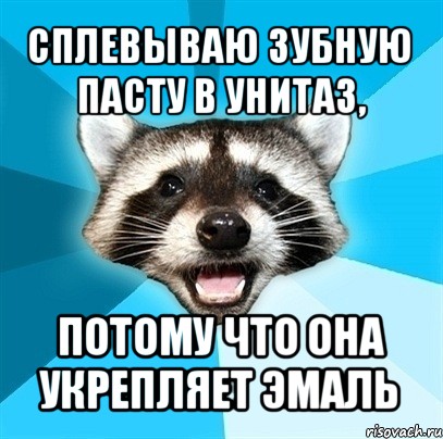 сплевываю зубную пасту в унитаз, потому что она укрепляет эмаль, Мем Енот-Каламбурист