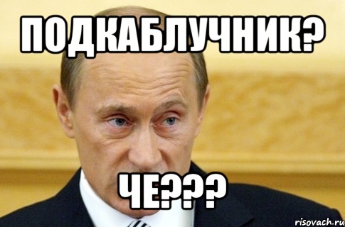 подкаблучник? че???, Мем путин