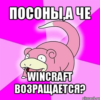 посоны,а че wincraft возращается?, Мем слоупок