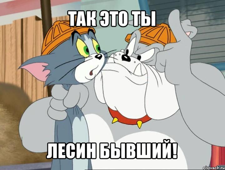 так это ты лесин бывший!, Мем том и джерри