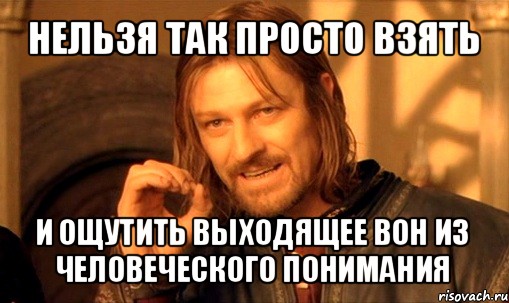 нельзя так просто взять и ощутить выходящее вон из человеческого понимания, Мем Нельзя просто так взять и (Боромир мем)