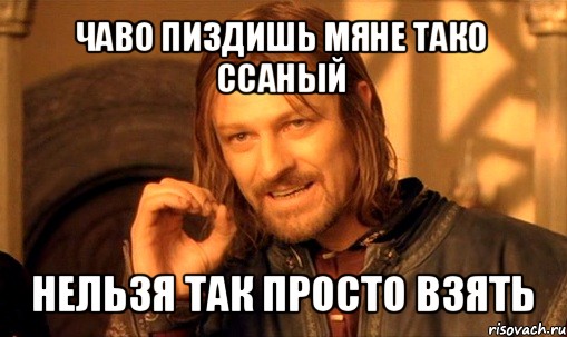 чаво пиздишь мяне тако ссаный нельзя так просто взять, Мем Нельзя просто так взять и (Боромир мем)