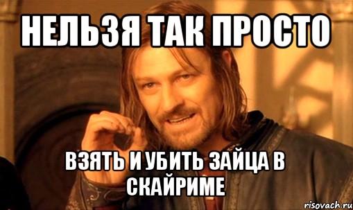 нельзя так просто взять и убить зайца в скайриме, Мем Нельзя просто так взять и (Боромир мем)