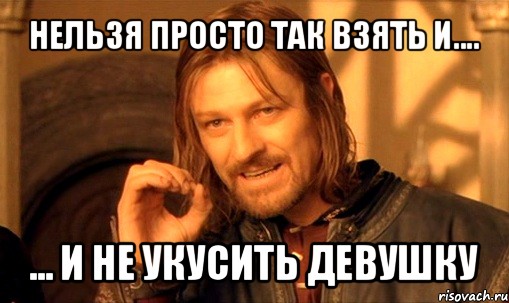 нельзя просто так взять и.... ... и не укусить девушку, Мем Нельзя просто так взять и (Боромир мем)