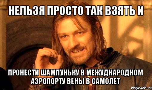 нельзя просто так взять и пронести шампуньку в межуднародном аэропорту вены в самолет