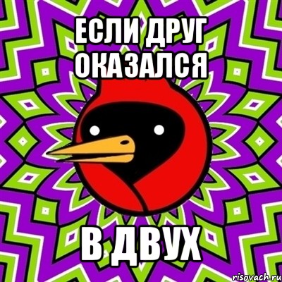 если друг оказался в двух, Мем Омская птица