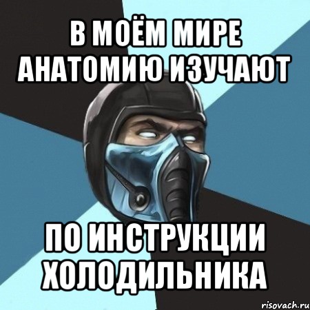 в моём мире анатомию изучают по инструкции холодильника, Мем Саб-Зиро