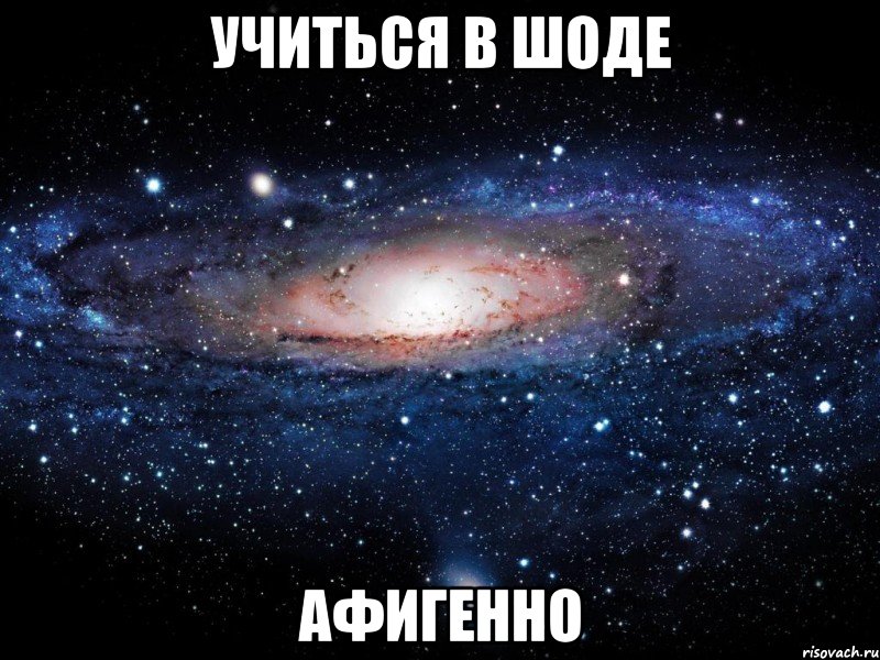 учиться в шоде афигенно