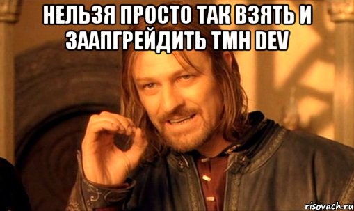 нельзя просто так взять и заапгрейдить tmh dev , Мем Нельзя просто так взять и (Боромир мем)