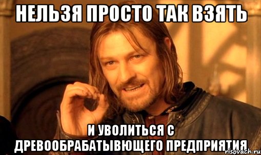 нельзя просто так взять и уволиться с древообрабатывющего предприятия, Мем Нельзя просто так взять и (Боромир мем)