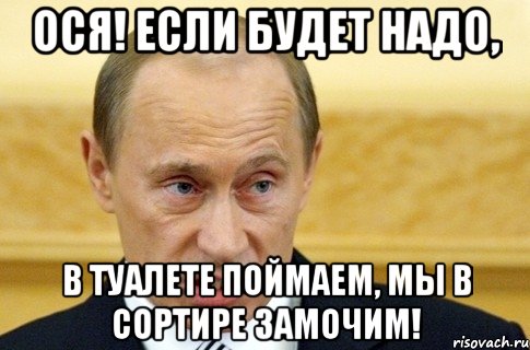 ося! если будет надо, в туалете поймаем, мы в сортире замочим!, Мем путин