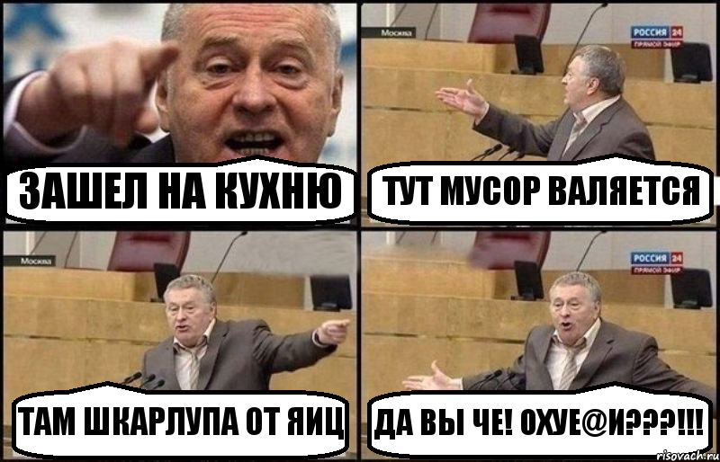 ЗАШЕЛ НА КУХНЮ ТУТ МУСОР ВАЛЯЕТСЯ ТАМ ШКАРЛУПА ОТ ЯИЦ ДА ВЫ ЧЕ! ОХУЕ@И???!!!, Комикс Жириновский