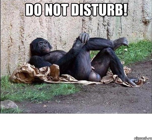 do not disturb! 