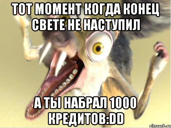 тот момент когда конец свете не наступил а ты набрал 1000 кредитов:dd, Мем белка