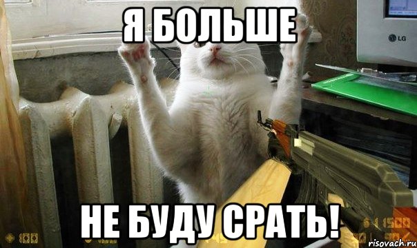 я больше не буду срать!, Мем cat2992