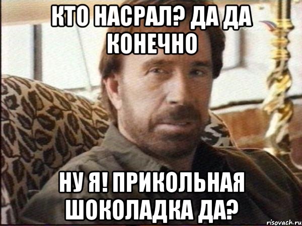 кто насрал? да да конечно ну я! прикольная шоколадка да?, Мем чак норрис