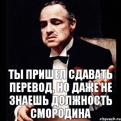 Прийти сдавать. Сдача перевод. Пришел перевод. Приехать в перевод. Сданные перевод.