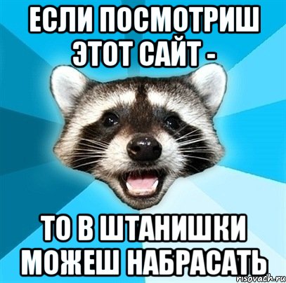 если посмотриш этот сайт - то в штанишки можеш набрасать, Мем Енот-Каламбурист