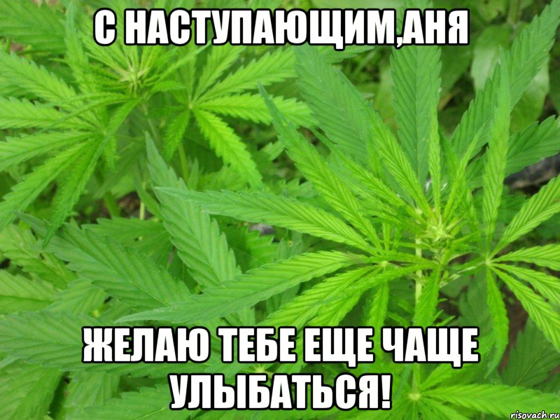 с наступающим,аня желаю тебе еще чаще улыбаться!, Мем федя