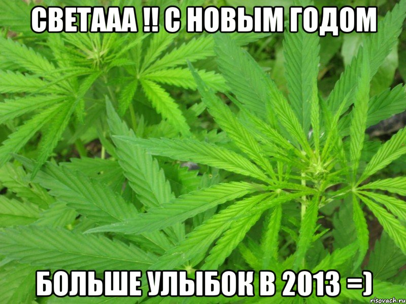 светааа !! с новым годом больше улыбок в 2013 =), Мем федя