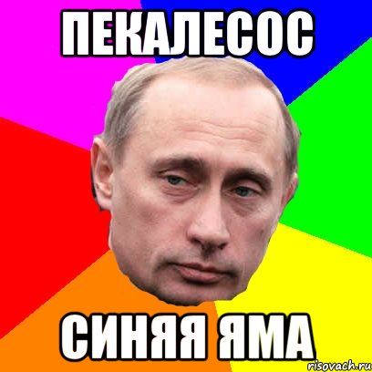 пекалесос синяя яма, Мем Господин президент