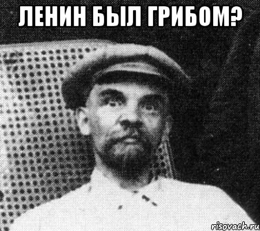 ленин был грибом? , Мем   Ленин удивлен