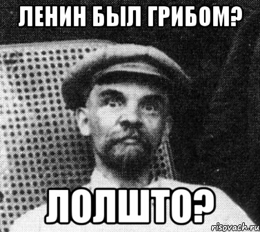 ленин был грибом? лолшто?, Мем   Ленин удивлен