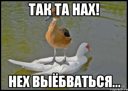 так та нах! нех выёбваться...