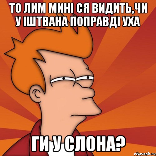 то лим мині ся видить,чи у іштвана поправді уха ги у слона?, Мем Мне кажется или (Фрай Футурама)