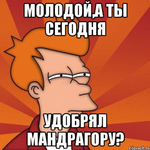 молодой,а ты сегодня удобрял мандрагору?