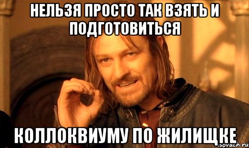 нельзя просто так взять и подготовиться коллоквиуму по жилищке, Мем Нельзя просто так взять и (Боромир мем)