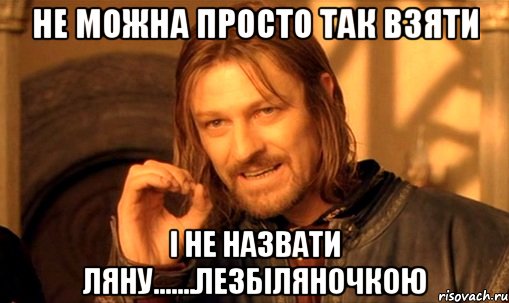 не можна просто так взяти і не назвати ляну.......лезбіляночкою, Мем Нельзя просто так взять и (Боромир мем)