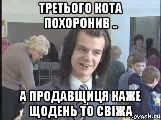 третього кота похоронив .. а продавщиця каже щодень то свіжа, Мем  Никита Литвинков