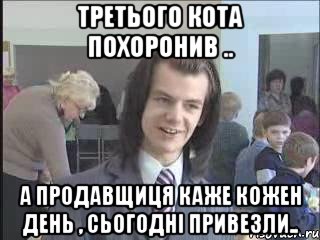 третього кота похоронив .. а продавщиця каже кожен день , сьогодні привезли.., Мем  Никита Литвинков