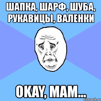 шапка, шарф, шуба, рукавицы, валенки okay, мам..., Мем Okay face