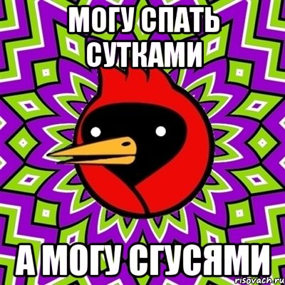 могу спать сутками а могу сгусями, Мем Омская птица