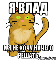 я влад и я не хочу ничего решать, Мем просто котэ