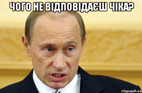 чого не відповідаєш чіка? , Мем путин