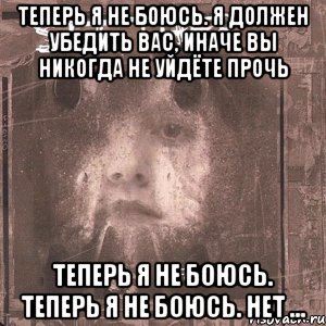 теперь я не боюсь. я должен убедить вас, иначе вы никогда не уйдёте прочь теперь я не боюсь. теперь я не боюсь. нет …, Мем Seether