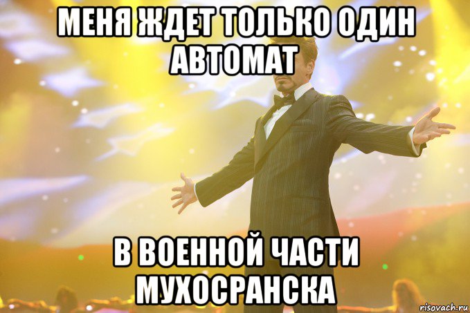 меня ждет только один автомат в военной части мухосранска, Мем Тони Старк (Роберт Дауни младший)