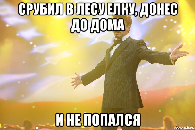 срубил в лесу елку, донес до дома и не попался, Мем Тони Старк (Роберт Дауни младший)