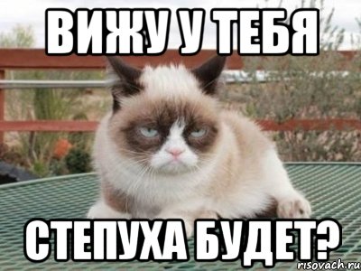 вижу у тебя степуха будет?, Мем Ungly Cat