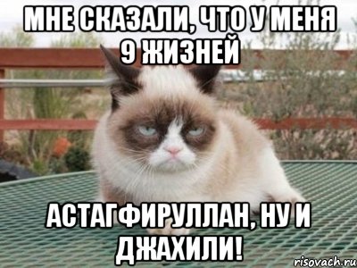 мне сказали, что у меня 9 жизней астагфируллаh, ну и джахили!, Мем Ungly Cat