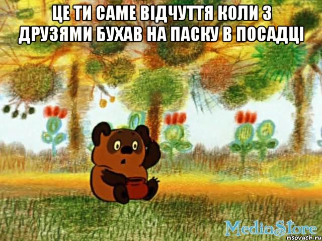 це ти саме відчуття коли з друзями бухав на паску в посадці , Мем винт