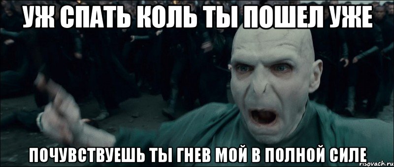 Хагрид и волан де морт. Волан де Морт мемы. Воландеморт спасибо за внимание. Волан де Морт спасибо за внимание.